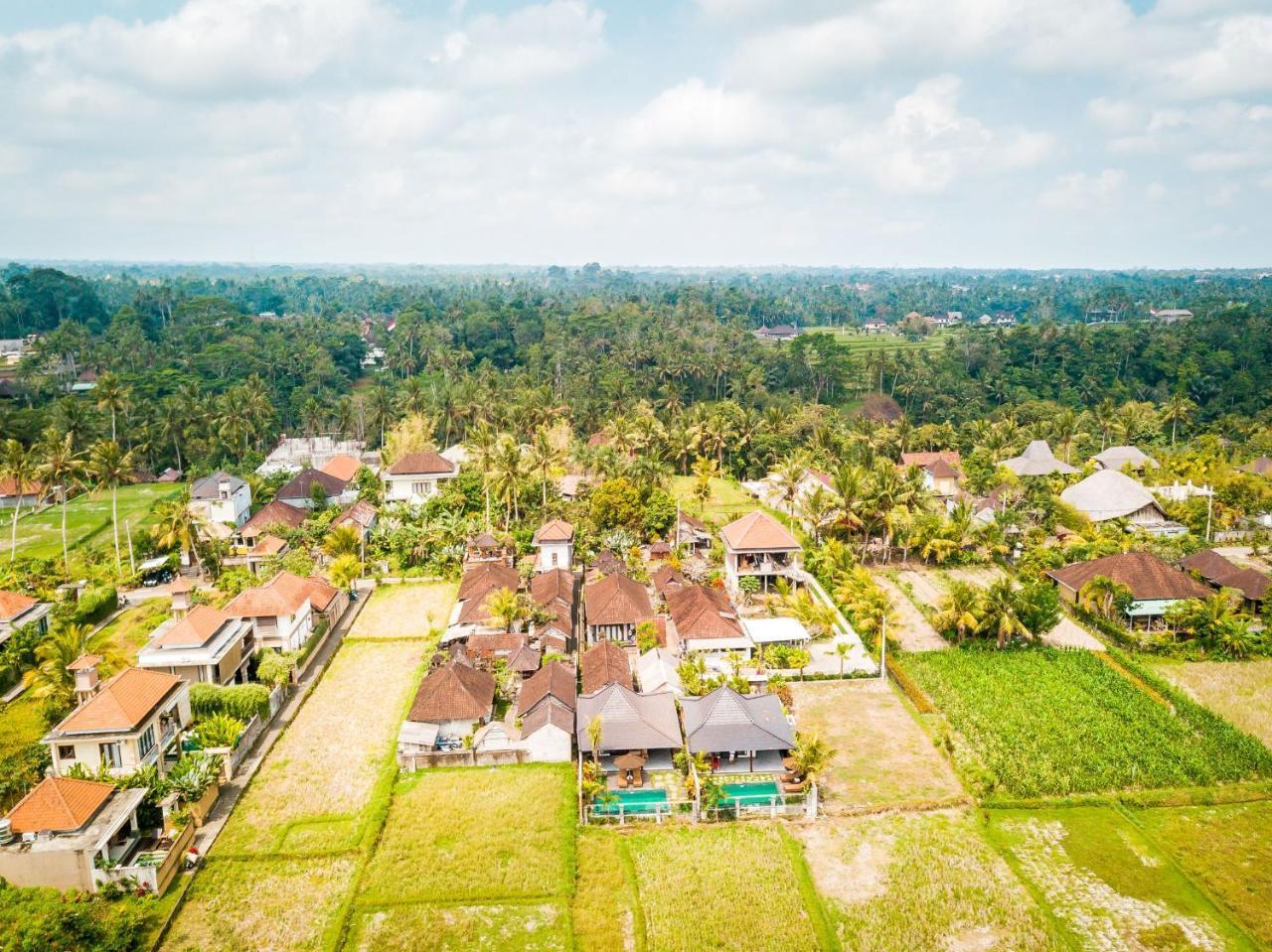 Sitala Villa Убуд Экстерьер фото